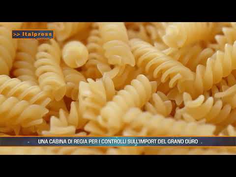 UNA CABINA DI REGIA PER I CONTROLLI SULL'IMPORT DEL GRANO DURO