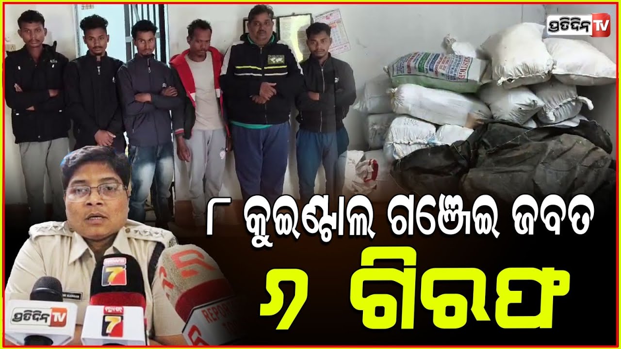 ବିସିଂପୁର ଥାନା ଅଧିକାରୀଙ୍କୁ ବଡ଼ ସଫଳତା, ଫାର୍ମ ହାଉସରୁ ୮କୁଇଣ୍ଟାଲ ଗଞ୍ଜେଇ ସହ ୬ଗିରଫ !Ganjai seized in koraput