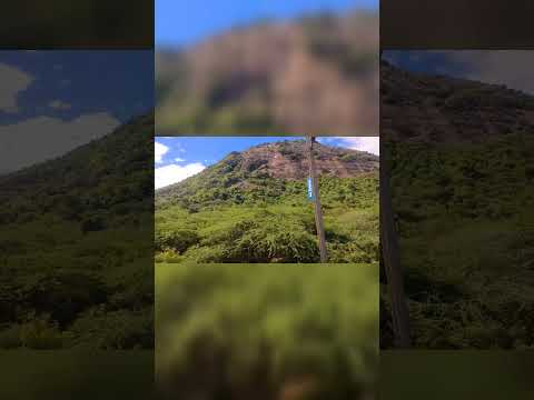 <strong>forest</strong> and mountains motiv mind