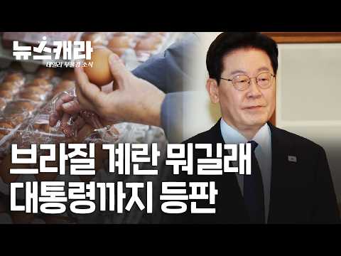 "정상회담 위한 무리수" vs "허위사실 <strong>유포</strong>" | 10월 16일(금) #뉴스캐라