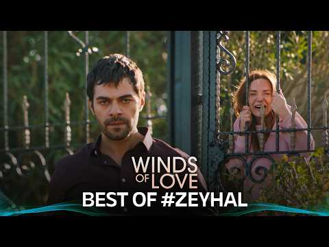 Yaptıklarının bedelini ödeyeceksin! | Best of #ZeyHal #14