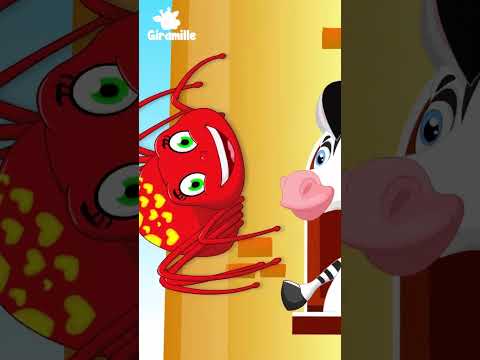 Amigos da Dona Aranha Parte 1 - Giramille Shorts #animação #giramille #músicainfantil