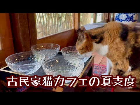 古民家猫カフェの夏支度
