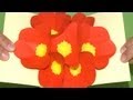 Tarjeta Pop-Up Flores 3D - 3D Flowers Pop up card (eng. sub.)