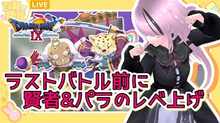 【#ドラゴンクエストIX / #DQIX】最終バトルの前にパラディンと賢者を育成する【#百瀬碧音】