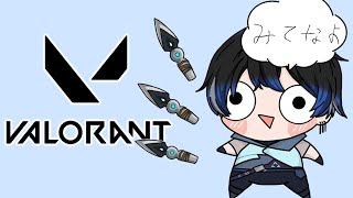 【VALORANT】スモークとセンチネルの業者【青桐エイト/ネオポルテ】