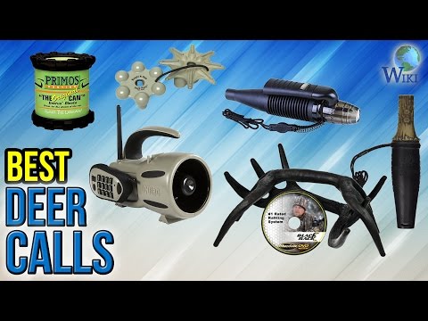 10 Best Deer Calls 2017 - UCXAHpX2xDhmjqtA-ANgsGmw