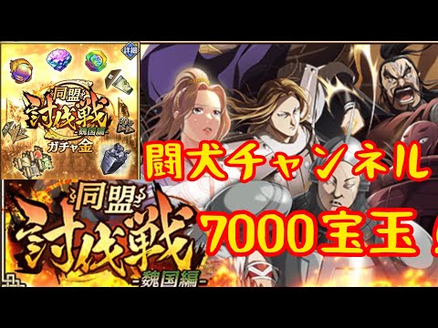 キングダム亂(討伐お疲れ樣でした!7000寶玉以上!金ガチャ、討伐寶箱開封!)鬪犬チャンネル