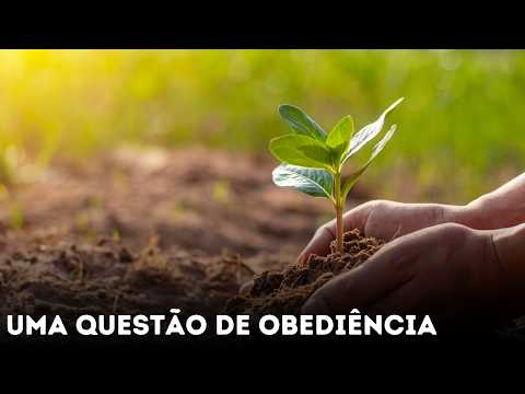 Ordem sem Opressão: Como a Vigilância Divina Cria uma Sociedade Livre