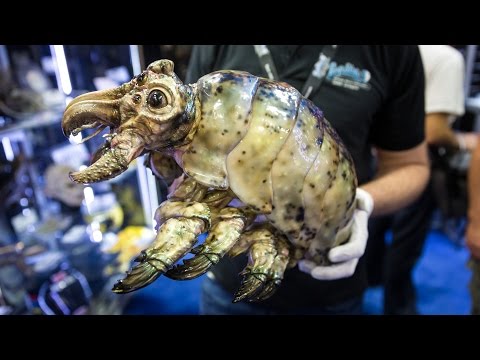 SDCC 2014: Original Batman and Pacific Rim Props - UCiDJtJKMICpb9B1qf7qjEOA
