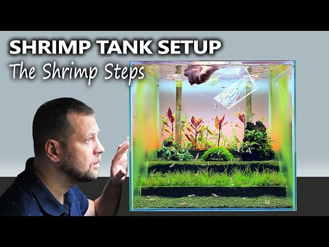 The Shrimp Steps_ Shrimp Tank Setup for Caridina w In this video I'm setting up a planted aquarium for Caridina shrimp with an aquascape around undergr