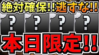 【本日(8日)限定】逃すと絶対後悔します！今後のパズドラ人生に大きく関わる重要なことです！ガチで全パズドラーに見て欲しい！徹底解説【パズドラ