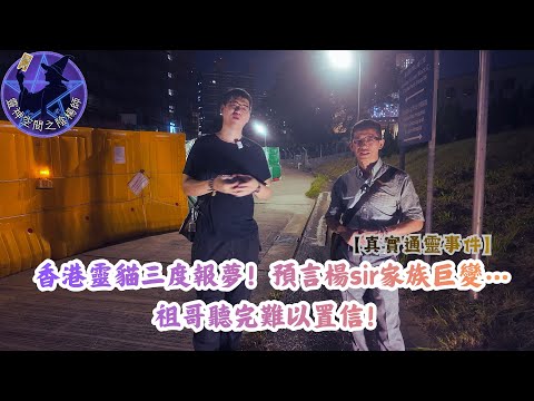 香港靈貓三度報夢!預言楊sir家族巨變…祖哥聽完難以置信!