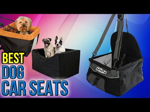 10 Best Dog Car Seats 2017 - UCXAHpX2xDhmjqtA-ANgsGmw