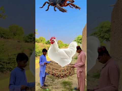 ya munzilal quran 👆👆👆#treanding #islami #shortvideo #vfx #allahhuakbar