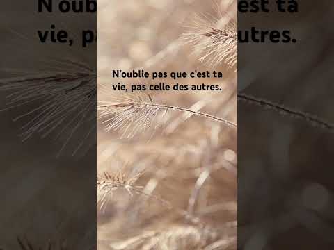 C'est ta vie #citation #proverbes #etresoi #youtubeshorts #yt #ytshorts #vie #noubliepas #youtube
