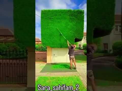 19 октября 2025 г.