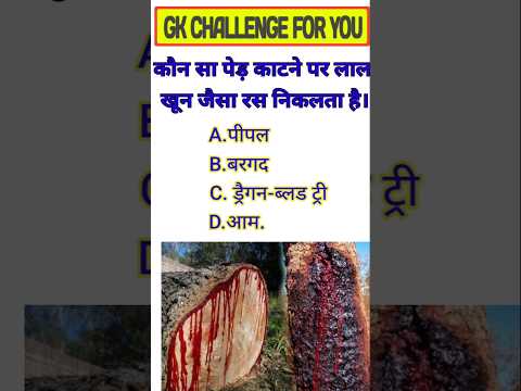 🔥 किस पेड़ को काटने से खून निकलता है।#gk_quiz#gk_question#viral_gk_shorts#gk_study11