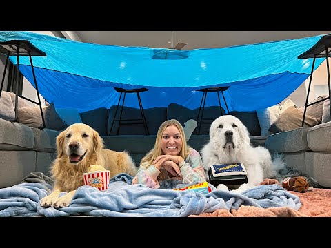 We Built a Blanket Fort for Our Pets!