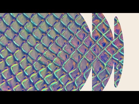 Back 2 Back - One Wave
