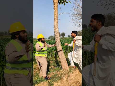 Tree cut nahi krny chaye 🌲🙏 #shorts
