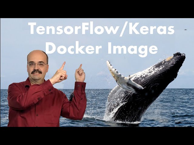 TensorFlow Docker Images: Which One Should You Use?