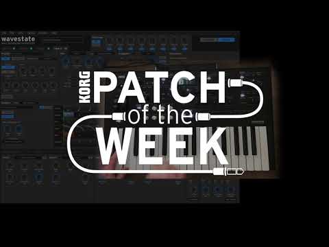 Patch of the Week 142: Flight of the Zinger – Donkey Kong Country 2 on wavestate