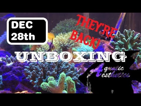Last Unboxing of the Year The unboxings are back!

Aquatic Aesthetics
5622C TN Hwy 153
Chattanooga/Hixson
423.386.5759

Be sur