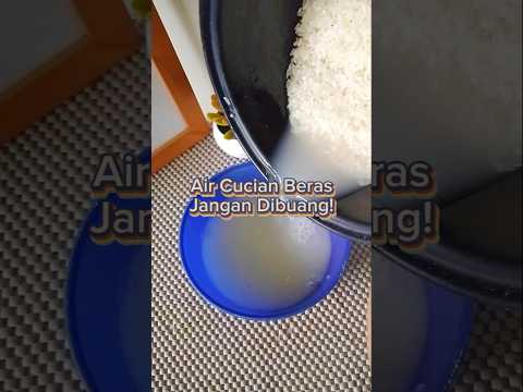 Air Cucian Beras: Rahasia Kulit Cerah, Rambut Kuat & Tanaman Subur! 🌾✨