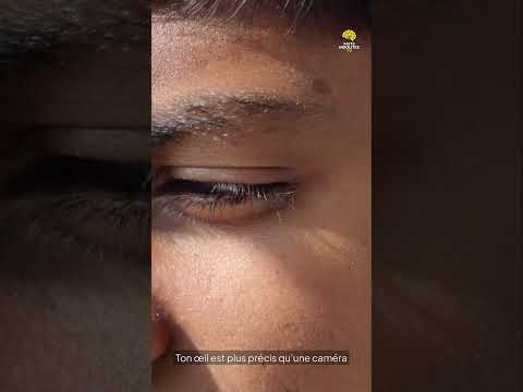 Faits Insolites n° 34 #faitsinsolites#leSavaisTu #incroyableMaisVrai#funfact#shorts