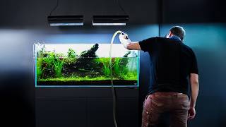 Thumbnail for the video "The Maintenance Philosophy of Japanese Aquascaping Masters" from Green Aqua