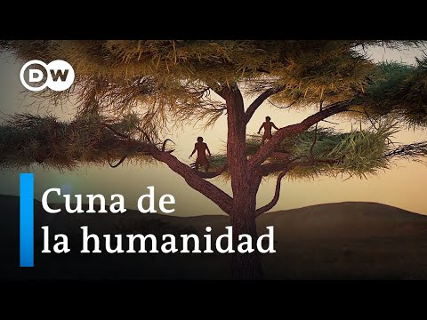 ¿Cómo surgió el ser humano? | DW Documental