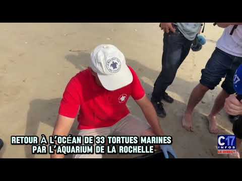 Image de l'actu de C17Infos - Youtube