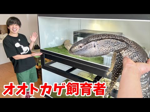 【衝撃】タワマンでアフリカンロックモニター3匹を飼う家に行ったらヤバすぎた...【お宅訪問】