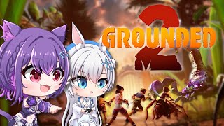 【GROUNDED 2】Smol cute cat and bunny on a hunt for bugs!!【#AngyCatto | 