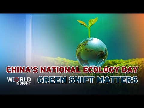 China's National Ecology Day: Speeding up the green transition