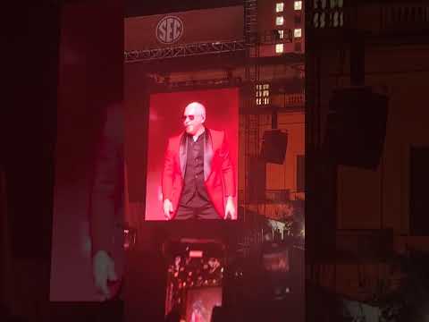 Pit Bull Gasolina 🎵 #viralshort #concert #subscribe #livemusic #travel #goodvibes #happy #subscribe