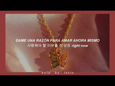 BiBi - Nabi (Traducido al español)