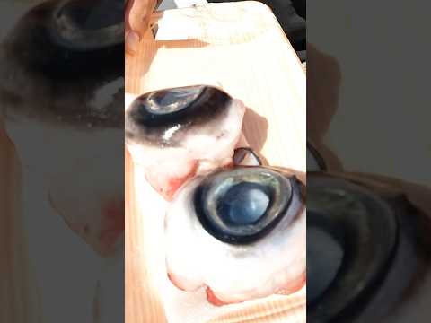 Eyeballs! #food #shorts