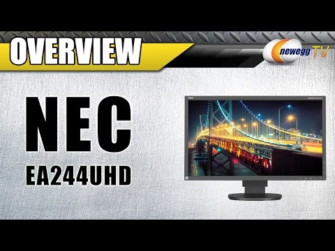 NEC EA244UHD 4K Monitor Overview - Newegg TV - UCJ1rSlahM7TYWGxEscL0g7Q