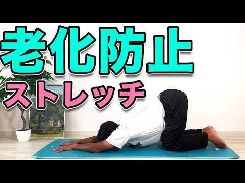 【老化防止ストレッチ】老け姿勢を改善、防止する！“Fix and Prevent Aging Posture!”