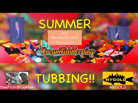 Episode 2_ Summer Tubbing! w/Ricefish Giveaway!! f On this week's episode we talk summer tubbing with DeeFromBrooklyn and NYGOLD! This year will be my 