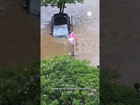 "Stop! What Are You Doing?" Driver Plunges Into Flooded Creek, Climbs
Pole