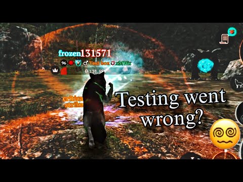 Testing went wrong?🙃|| The Wolf