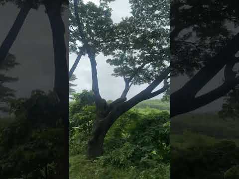 #abu_taha_muhammad_adnan #bandorban #bandorbon #bangladesh #viral #shorts #bd