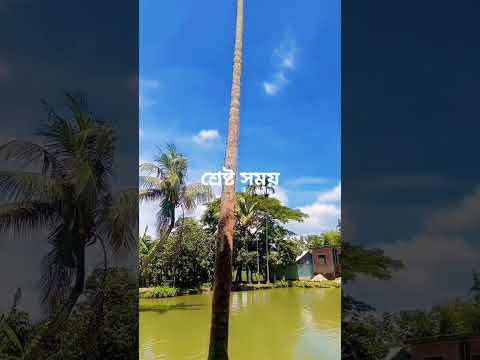 দুরন্তপনা। গ্রামীণ সৌন্দর্য 💝🇧🇩