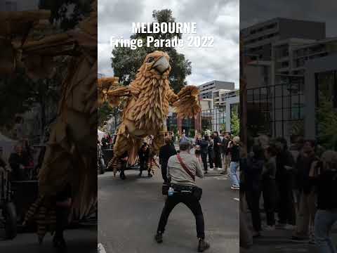 Melbourne Fringe Parade 2022 #shorts #fyp #clips