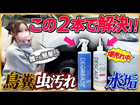 【洗車】頑固な水垢、花粉･鳥糞･黄砂等､この2本があれば簡単除去!!洗車機派にもスプレーして入れるだけなので超オススメ!! 【LIFIX／DESCALE＆DEGREASE】