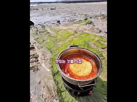 바닷가에서 맛있는 <strong>걸</strong> 직접 잡아 먹기로 했어요!