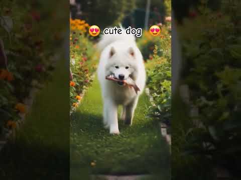 😍dog eating a fish 😊#funny #dog #viralshorts